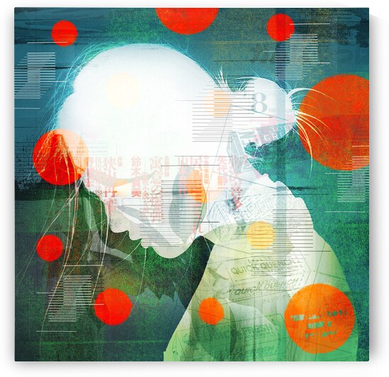 Placidus by hoppervision