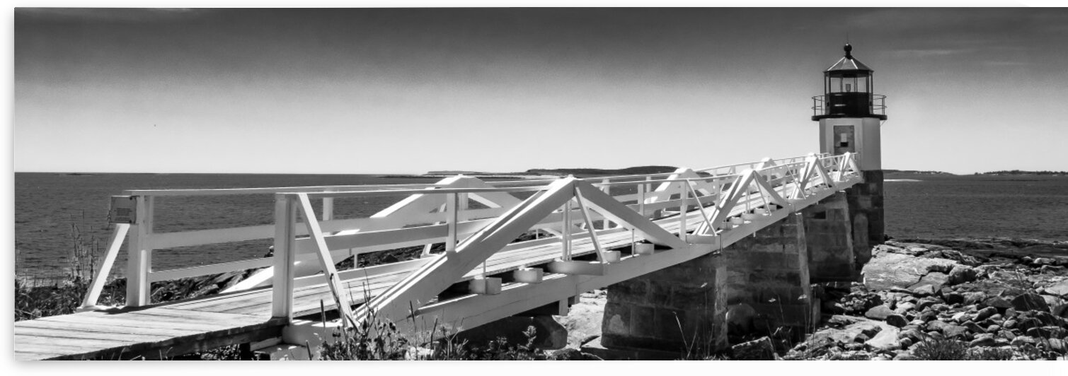 Forrest Gumps End by Dave Therrien