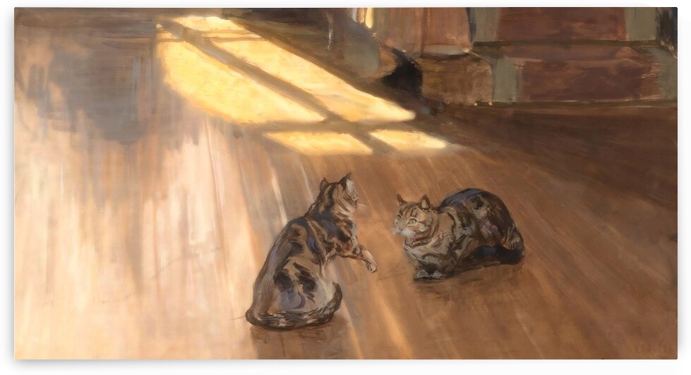 Cats with Morning Light by Row One Brand