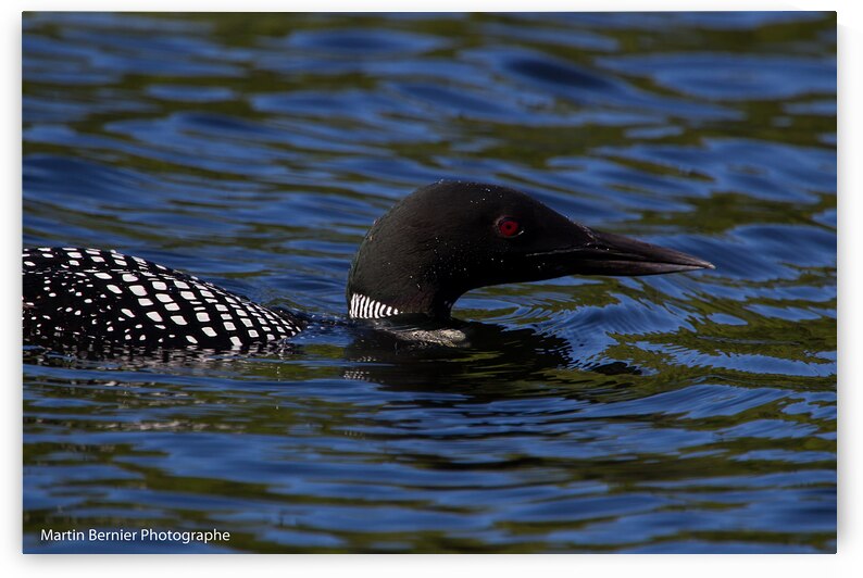 17 128 Huard by Martin Bernier