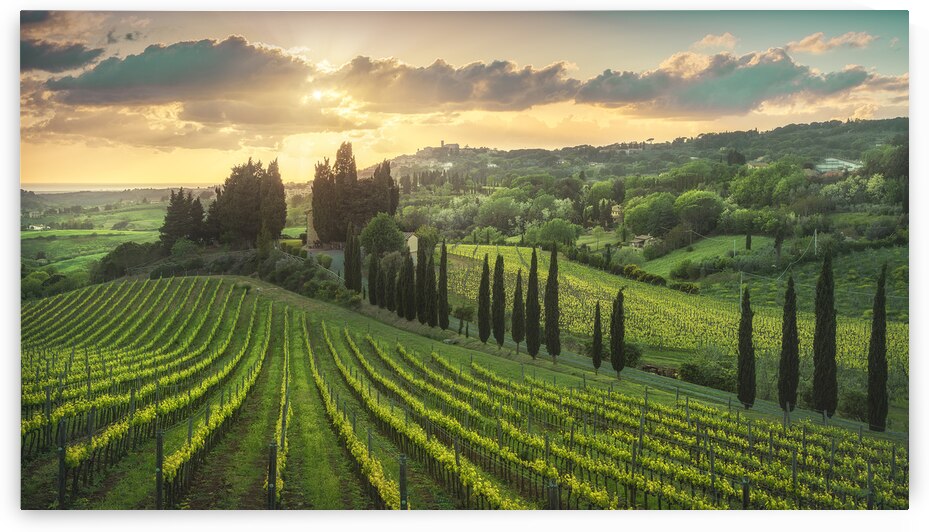 Golden sunset over Tuscan vineyards by Stefano Orazzini