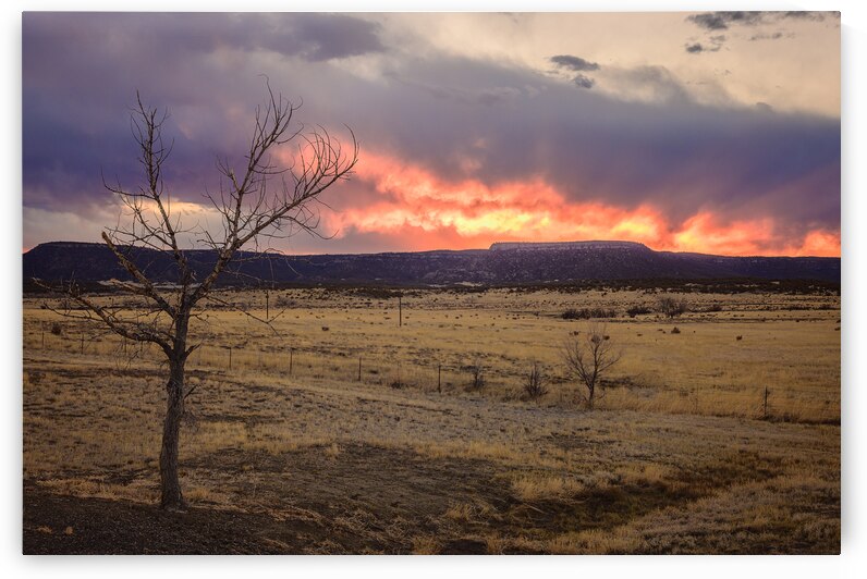 Heavens Blaze: Sunset Symphony in NM by Dream World Images