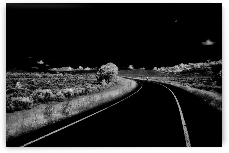 Tree of Singular Presence by Dream World Images