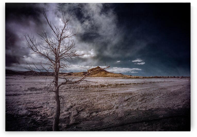 Realm of the Unknown: Lone Tree Mount by Dream World Images