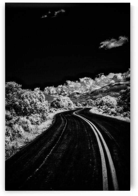 Symphony of Road and Foliage by Dream World Images