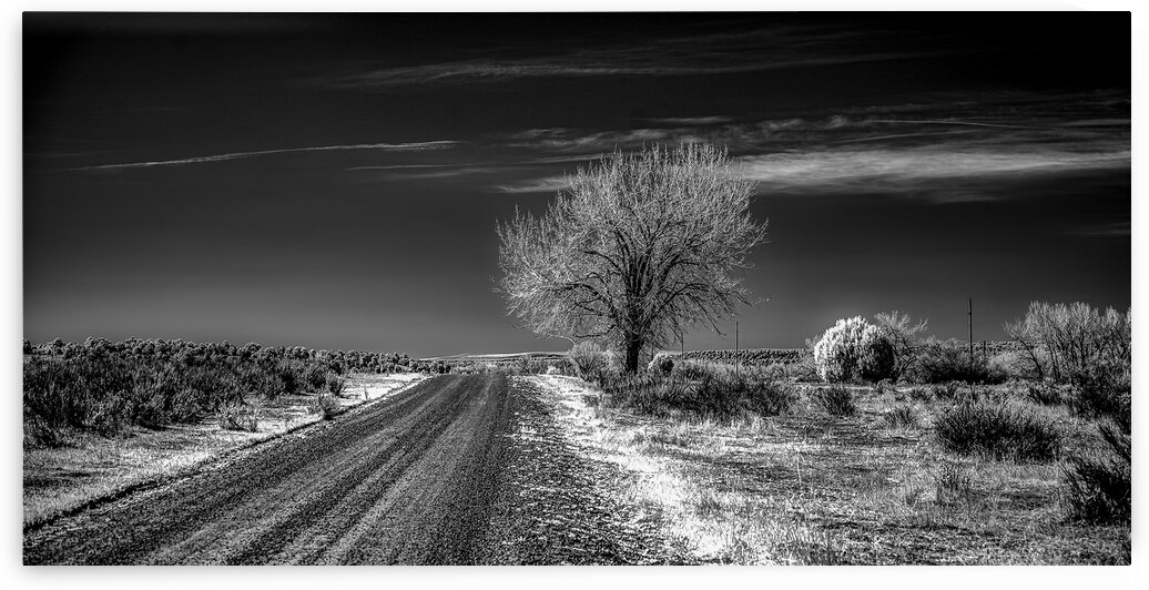 Ethereal encounters: a monochrome journey through Dawson NM by Dream World Images
