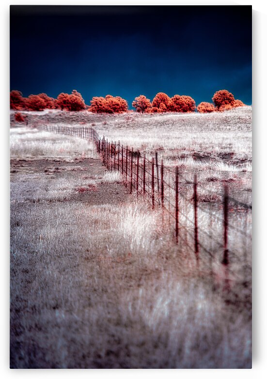 Fence Through a Surreal Horizon by Dream World Images