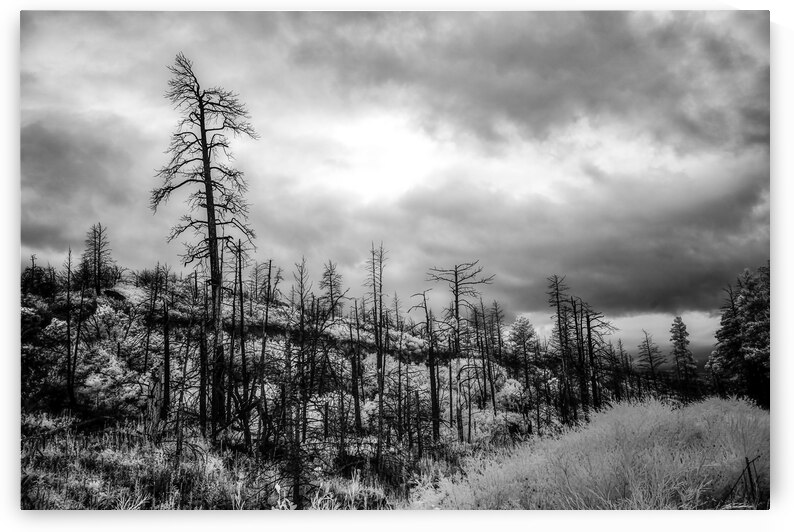 After the Fires Whisper by Dream World Images