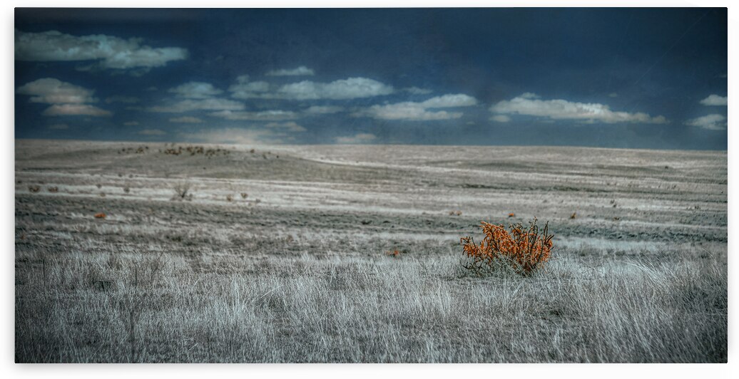 Solitary Flame Under Azure Canopy by Dream World Images