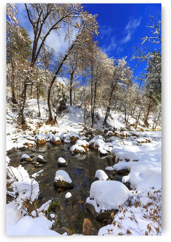 Winter Wonderland on West Fork Trail: Sedona Arizona by Shallowshark