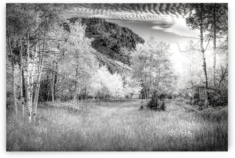 Snowmass Aspen Splendor 1 by Norma Brandsberg Photography