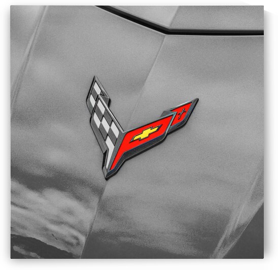 2024 Riptide Blue Corvette Stingray C8 X12 15 by Rich Franco