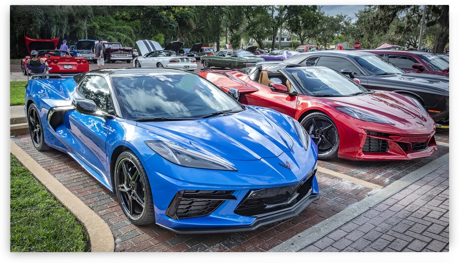 2024 Riptide Blue Corvette Stingray C8 X12 19 by Rich Franco