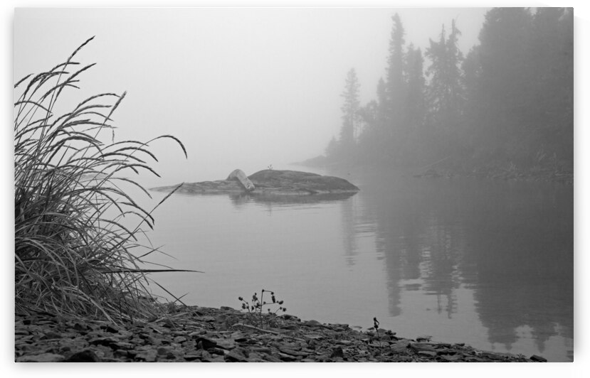 McKay Cove Print by Stephen Emms