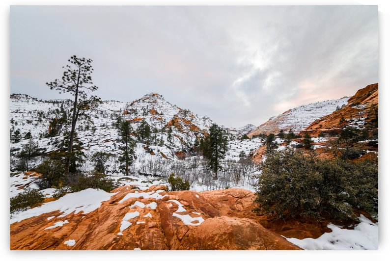 Bryce Canyon by Luis Bonetti