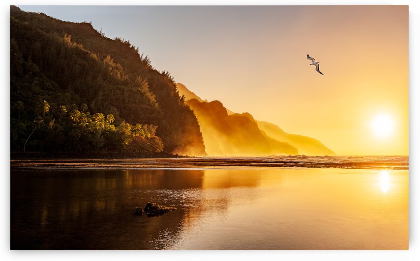 Misty sunset on Na Pali coastline with bird by Steve Heap