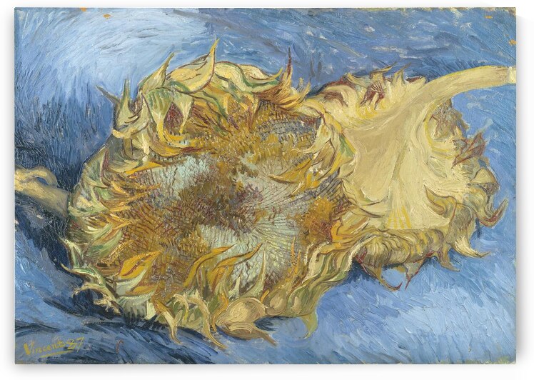 Vincent Van Gogh -Two Cut Sunflowers 1887 by Wirla