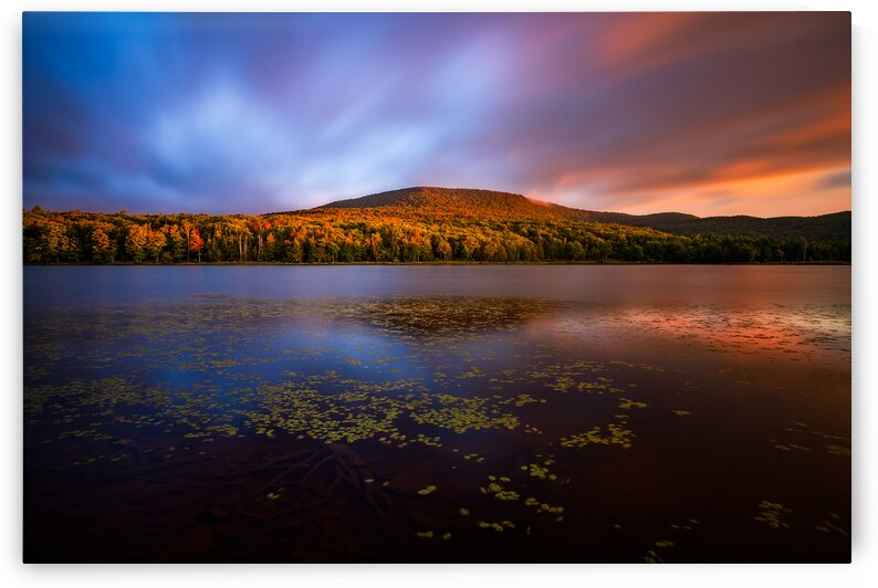 Breezy morning by Jane Haslam
