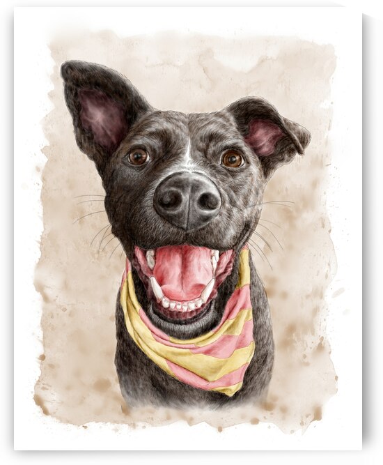 Cute happy smiling dog portrait by Kevin Miller Photography