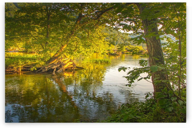 New River Gorge National Park Tree Reflections at Sunset by Norma Brandsberg Photography
