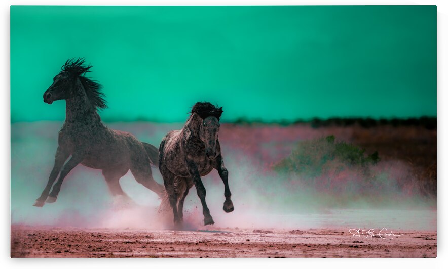 BZ9 1424 Enhanced NR 2 by Susan Lynn Cooke