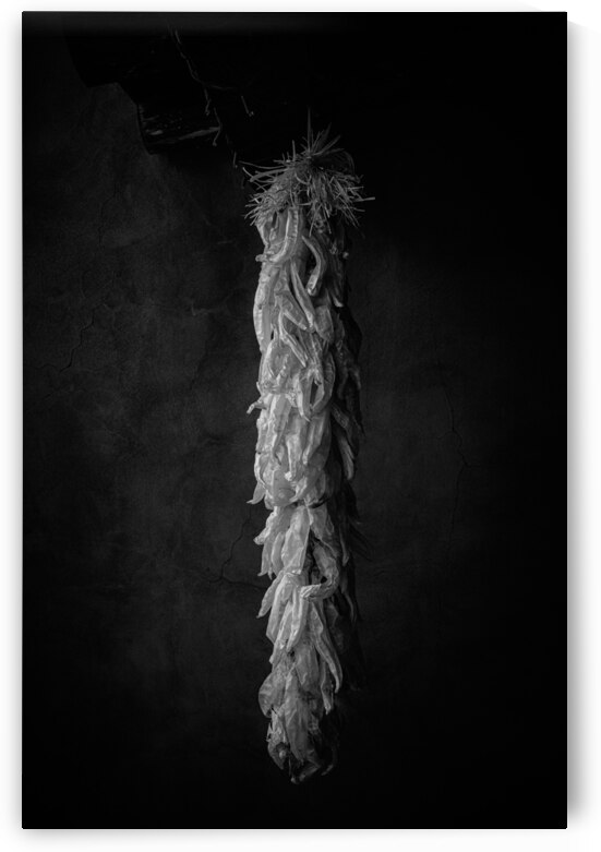 Elegy in Shadow and Spice by Dream World Images