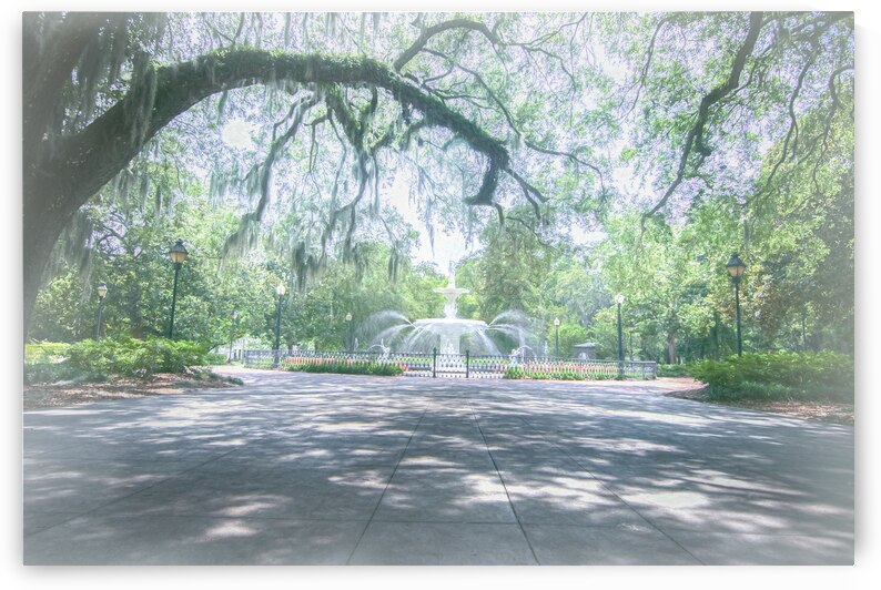 Georgia Savannah Forsyth Park Fountain by Norma Brandsberg Photography