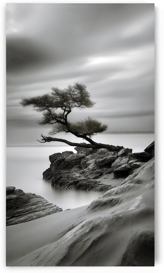 Landscapes By the water  15 by The Mabazza Foundation 