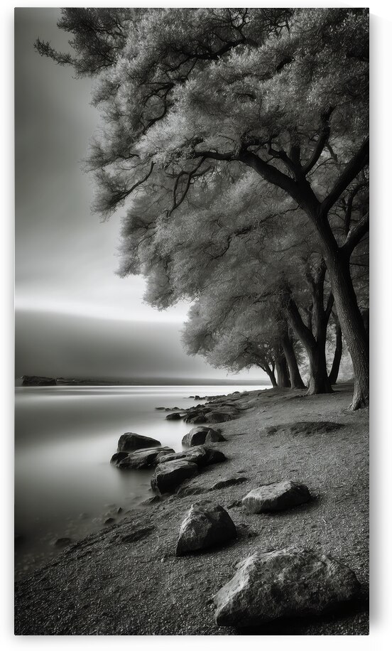 Landscapes By the water  21 by The Mabazza Foundation 