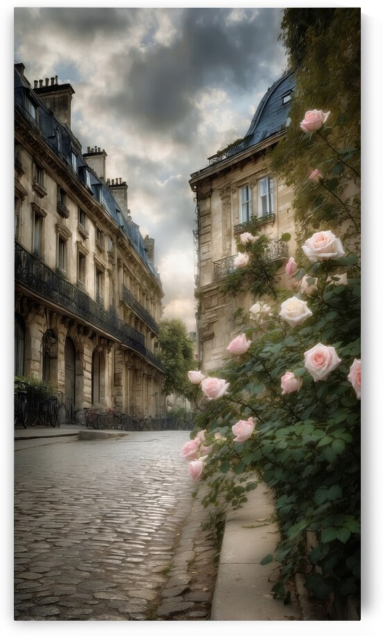 A Rose in Paris  5 by The Mabazza Foundation 