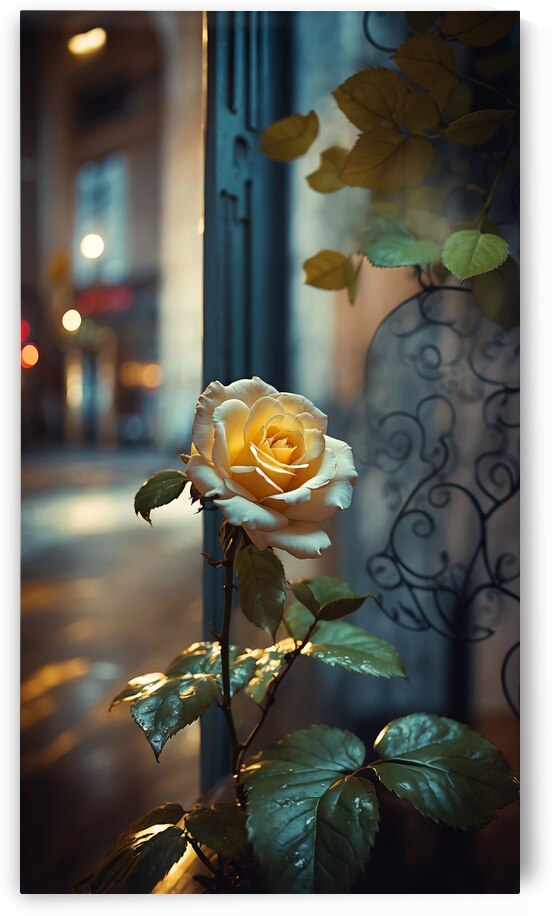 A Rose in Paris  9 by The Mabazza Foundation 
