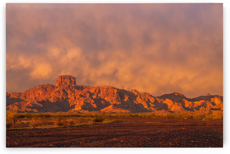 Golden Hour at Kofa National Wildlife Refuge by Shallowshark