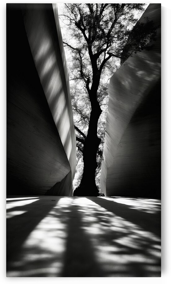 A Series of Black and White Prints Exploring the Depth of Human Existence 1 by The Mabazza Foundation 