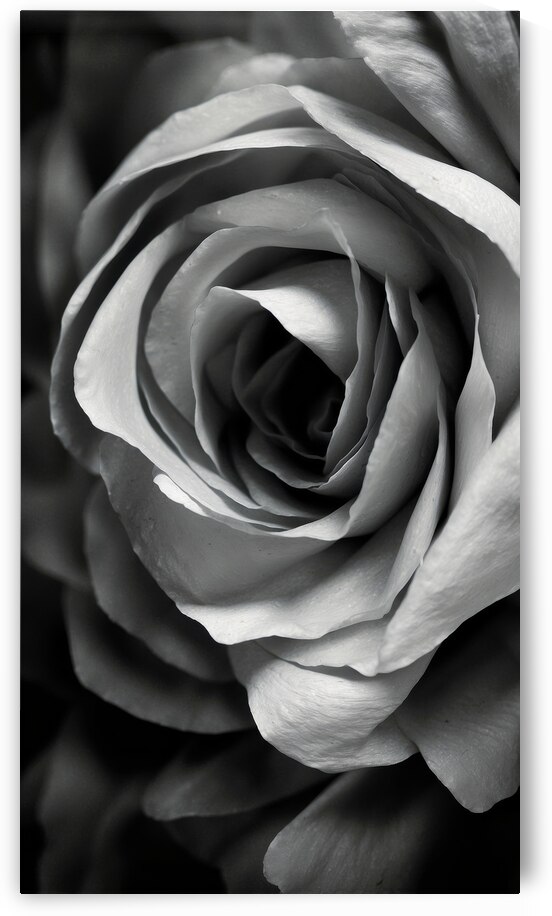 A Series of Black and White Prints Exploring the Depth of Human Existence 3 by The Mabazza Foundation 