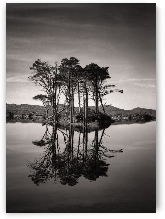 Loch Assynt Reflection II by Dave Bowman
