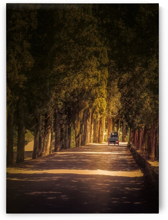 Tuscany Winery Road Truck by Norma Brandsberg Photography