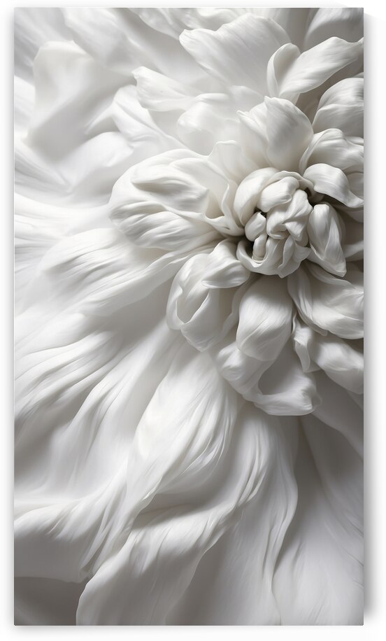 A series exploring the use of White as the primary color 11 by The Mabazza Foundation 