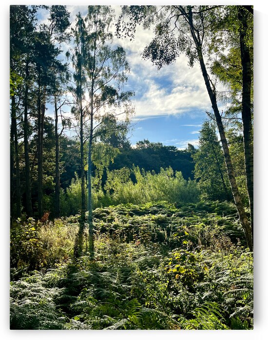 Scottish Highlands Landscape by Catriona Roberts Nature Photography and Designs