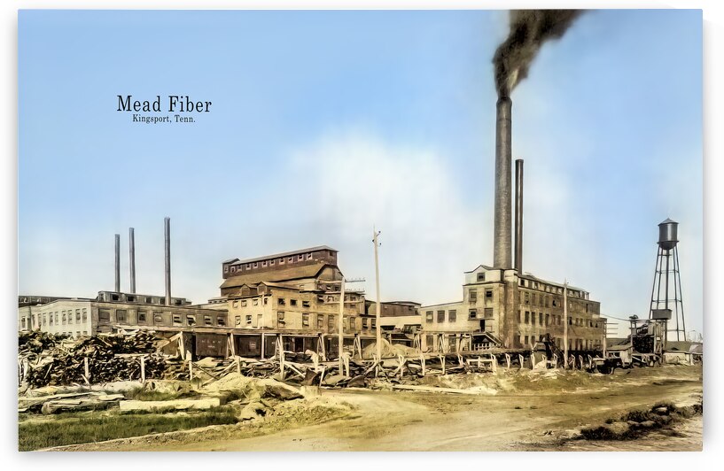 Mead Fiber Paper Mill Kingsport Tennessee by Shelia Hunt Photography