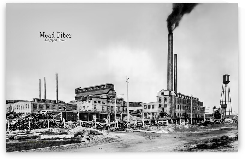 Mead Fiber Paper Mill Kingsport Tennessee Black and White by Shelia Hunt Photography