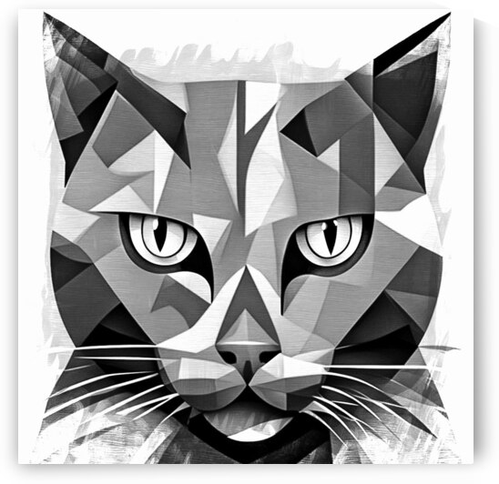 Black And White Kitty Boo Ai  by AliceGipsonPhotographs