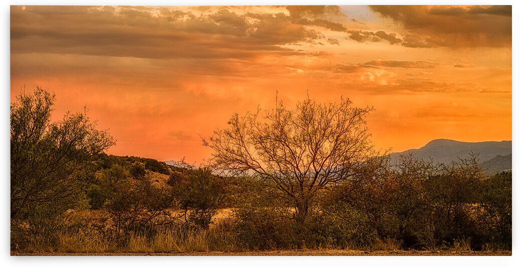 ETERNAL CALM OF DESERT HUES by Dream World Images