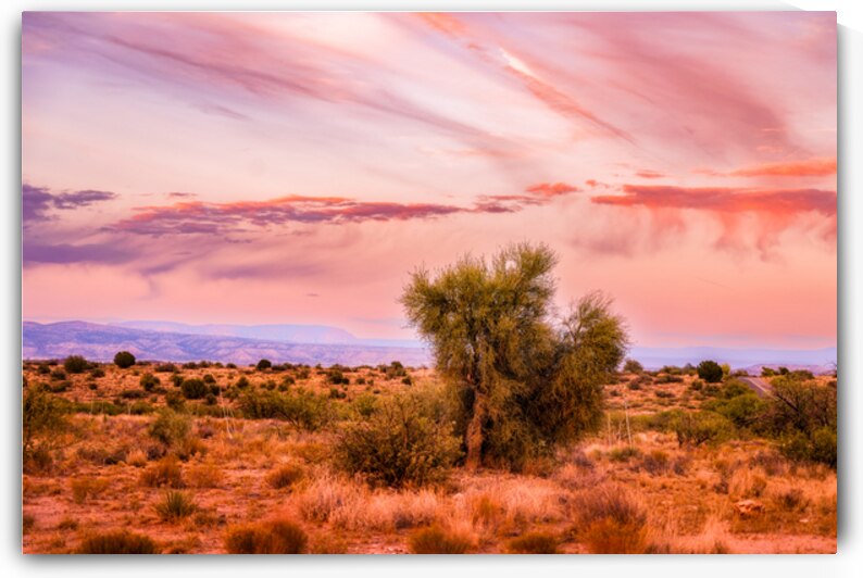 WHISPERS THROUGH THE SUNLIT CANOPY by Dream World Images