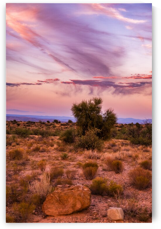 Whispers of a Painted Sky by Dream World Images