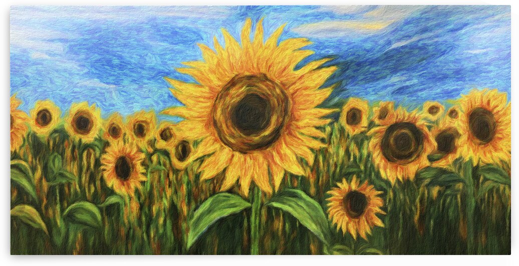 Sunflower Field by Travelling Light