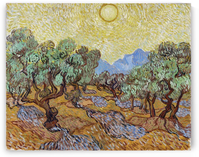 Vincent van Goghs Olive Trees 1889 by Art Of Destiny
