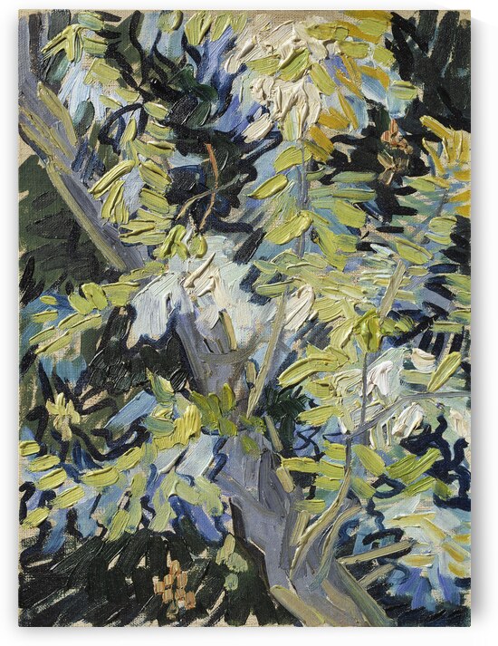 Vincent van Goghs Blossoming Acacia Branches 1890 by Art Of Destiny