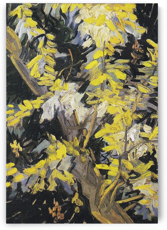 Vincent van Goghs Blossoming Acacia Branches 1890 by Art Of Destiny