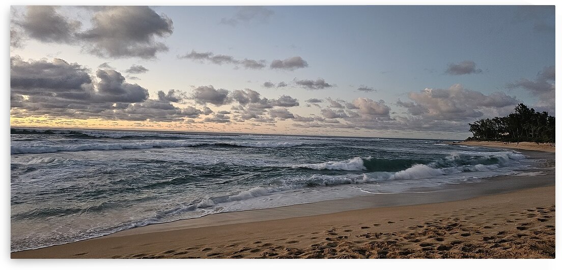 Beach Night Sky by Jennifer Cisneros