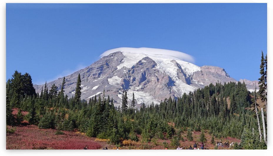 Mount Rainier in the Fall by Jennifer Cisneros